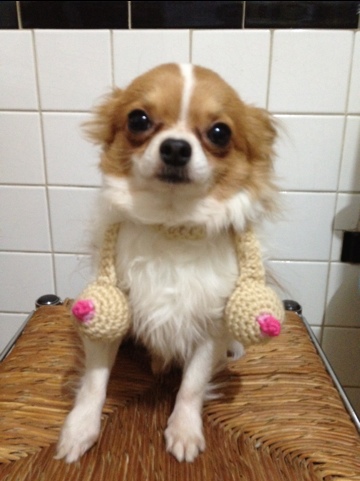 Crocheted boob scarf pattern for a tiny dog